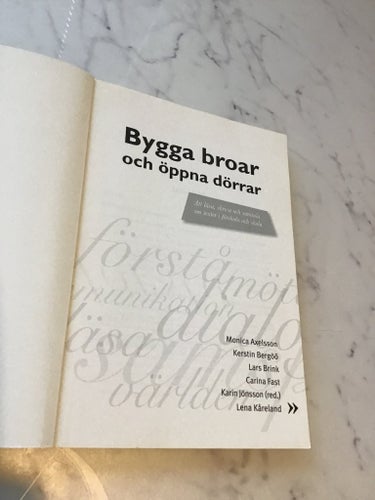 Bygga broar och öppna dörrar av Monica Axelsson, Kerstin Bergöö, Lars Brink,