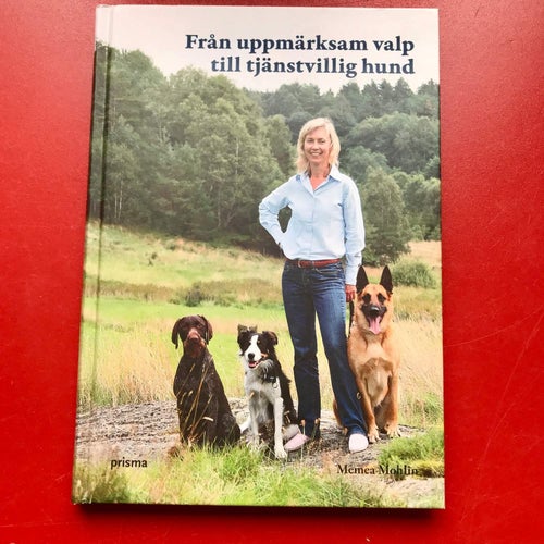 FRÅN UPPMÄRKSAM VALP TILL TJÄNSTVILLIG HUND Memea Mohlin 2008