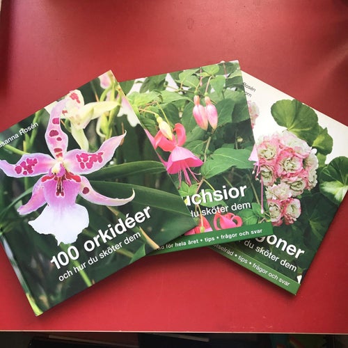 100 ORKIDÉER + 100 FUCHIOR + 100 PELARGONER Susanna Rosén
