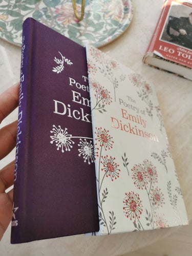 Beautiful book with slipcase Emily Dickinson poems illustrated