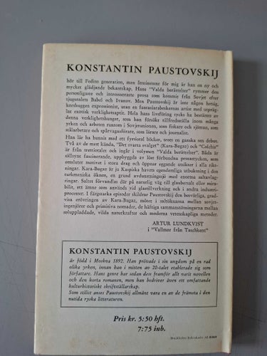 Konstantin Paustovskij: Det svarta svalget (Kara-Bugaz)