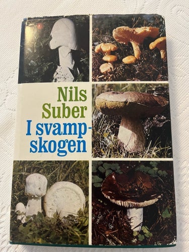 Nils Süber: Isvamp-skogen