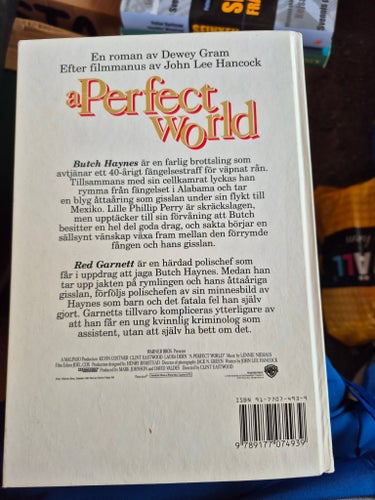 A Perfect World av Dewey Gram, 1993