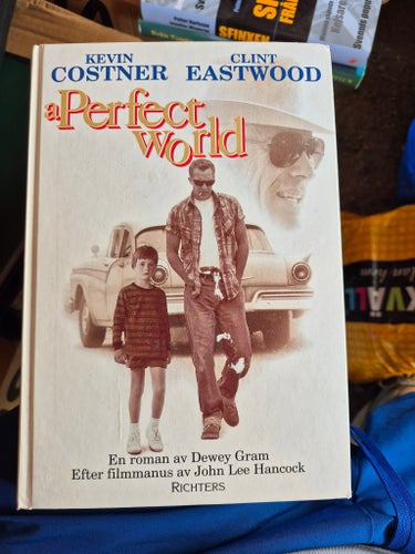A Perfect World av Dewey Gram, 1993