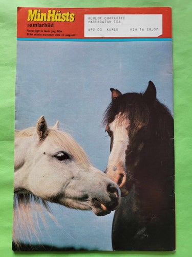 Min häst nr 16 från 1983