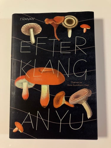 An Yu -Efterklang 2024, översatt efter originalet "Ghost Music" - inbunden