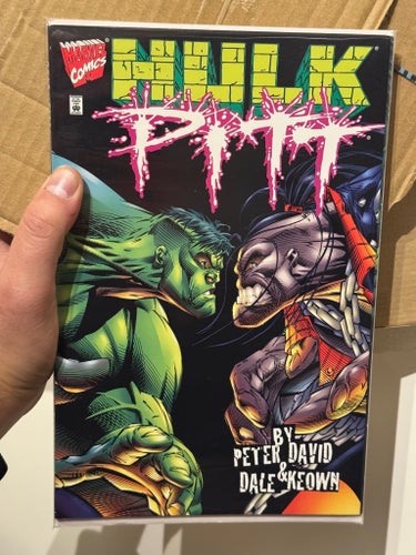 Hulk vs Pitt by Dale Keown