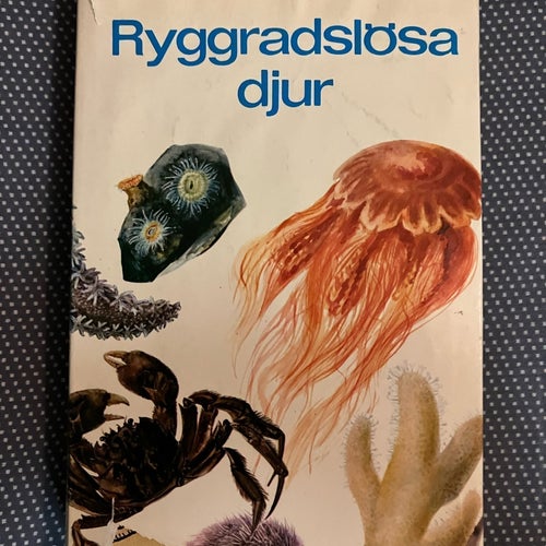 Rygggradslösa djur av Björn Ursing