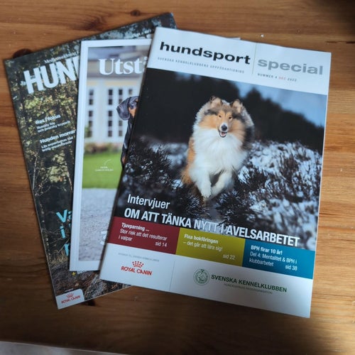 Hundsport Tidningar
