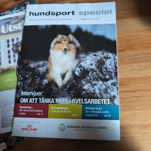 Hundsport Tidningar