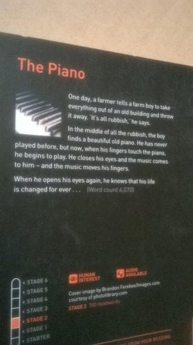 The Piano by Rosemary Border