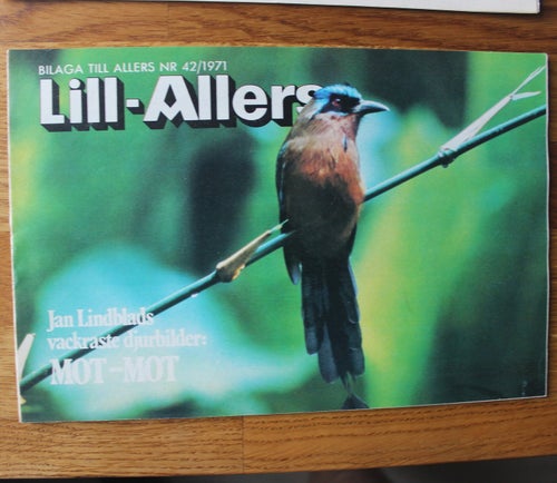 Lill-Allers bilagan veckotidning 1971 nr 42