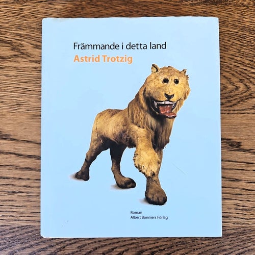 Främmande i detta land - Astrid Trotzig