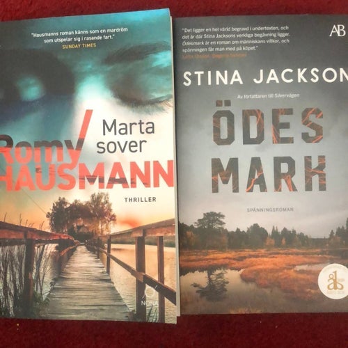 Romy Hausmann - Marta sover & Stina Jackson - Ödesmark