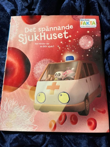 Det spännande Sjukhuset