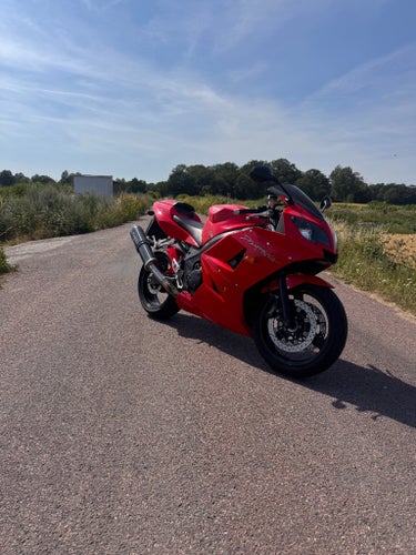 Triumph Daytona 600