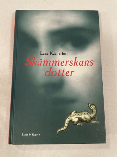 Skämmerskans Dotter | Lene Kaaberbøl | Skämmerskans barn | Kartonnage