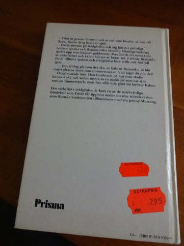 Mycket fin Mario Puzo Sommaren när alllting hände 1977