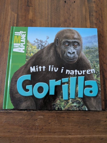 Mitt liv i naturen: Gorilla av Meredith Costain