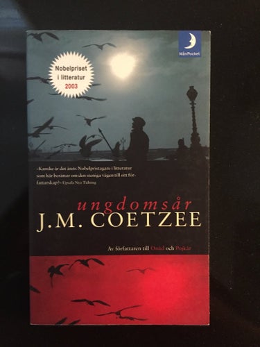 J.M. Coetzee - Ungdomssår