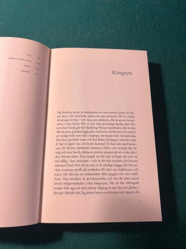 Naken av David Sedaris, 2000