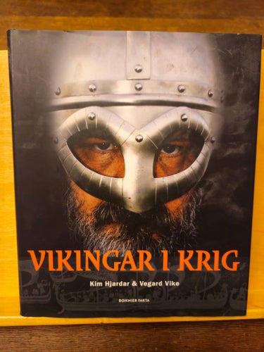 Vikingar i krig, Hjardar & Vike