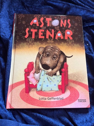 Astons stenar av Lotta Geffenblad, 2015