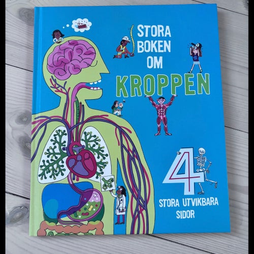 Stora boken om kroppen