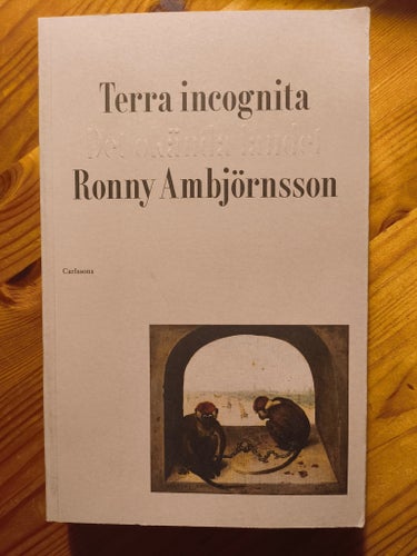 Terra incognita : Det okända landet av Ronny Ambjörnsson
