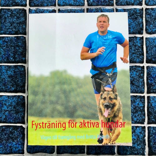 FYSTRÄNING FÖR AKTIVA HUNDAR vägen till framgång Britta Agardh 2013