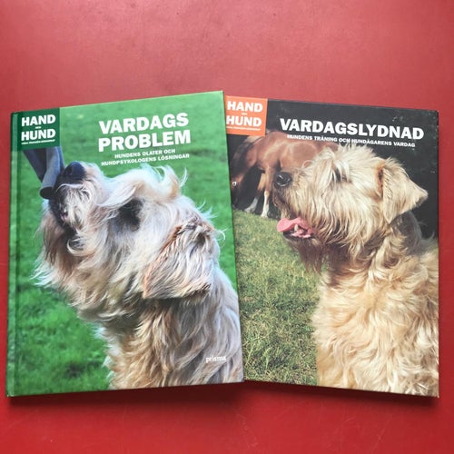 VARDAGSPROBLEM + VARDAGSLYDNAD Yrsa Franzén-Görnerup
