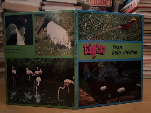 Fåglar från hela världen av Yngve Espmark, bok, Very Fine plus