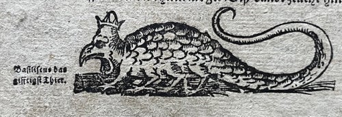 (1588) Münsters Cosmographia: Karl V:s expedition och världens giftigaste djur