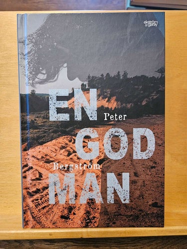 En god man, Peter Bergström