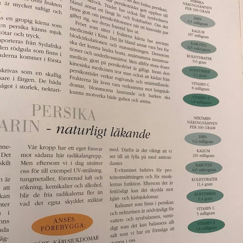 Frukt&bär naturligt läkande, hälsa, må bättre, Anna Lindvall och Gunvor Lindvall