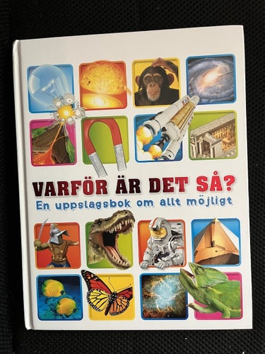 Varför är det så? En uppslagsbok om allt möjligt