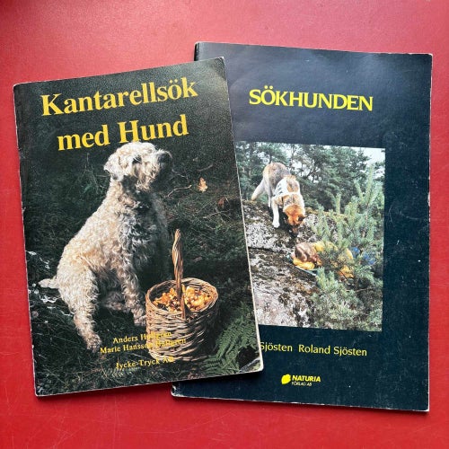 KANTARELLSÖK MED HUND Anders Hallgren + SÖKHUNDEN Inki Sjösten