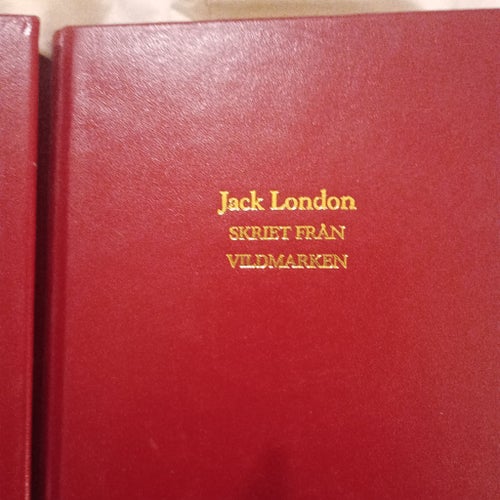 Bokpaket: Mark Twain, Jack London, Jules Verne, Rosemary Sutcliff, Rudyard