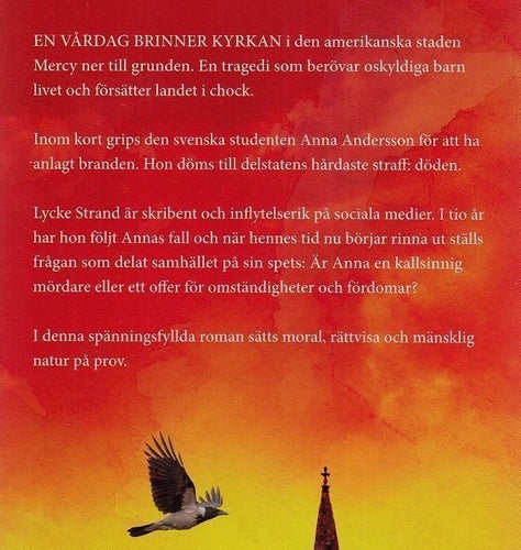 MERCY / av Anna ROOS