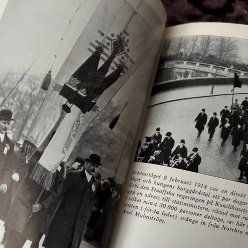 Sveriges historia under 1900-talet, Elis Håstad, 1965. Sverige, politik, makt.