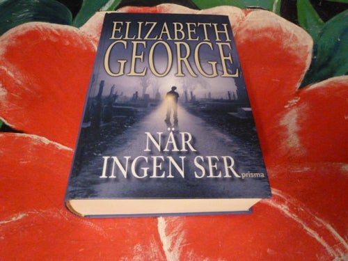 ELIZABETH GEORGE, NÄR INGEN SER, BOK, 2006