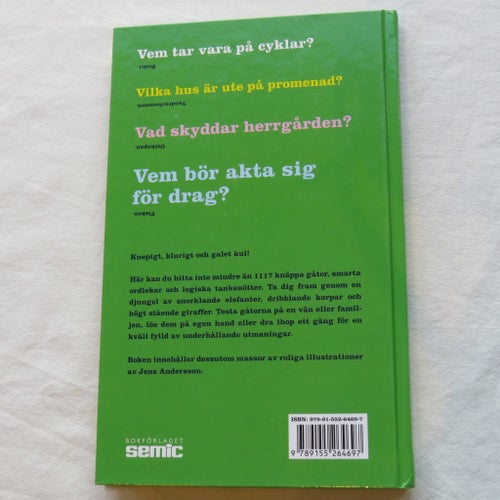 1117 Knäppa Gåtor & Annat Kul Att Klura På av Reid Persson