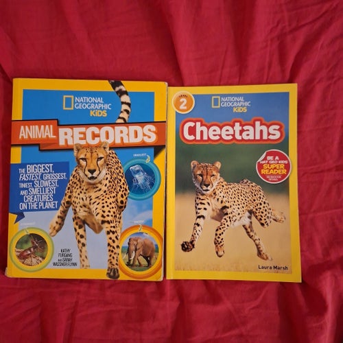 National Geographic Kids Animal Records + Bugs engelskfakta bok av DK Readers