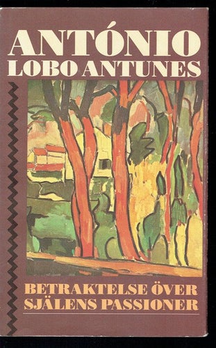 Betraktelse över själens passioner (António Lobo Antunes)