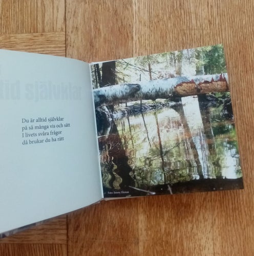 Till Pappa - älskad, beundrad, uppskattad (Gumra Förlag) Bok