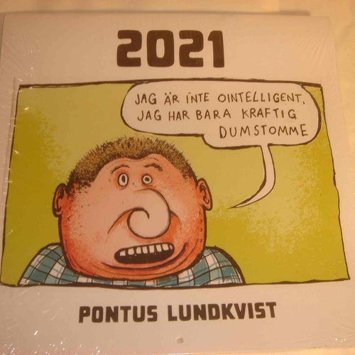 Pontus Lundkvist almanacka 2021 NY INPLASTAD