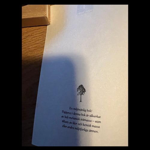 Vattenmelonen av Marian Keyes, 1995