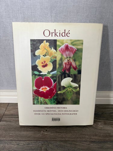 Orkidé: Drömmen om evig skönhet av Wilma och Brian Rittershausen, 2000