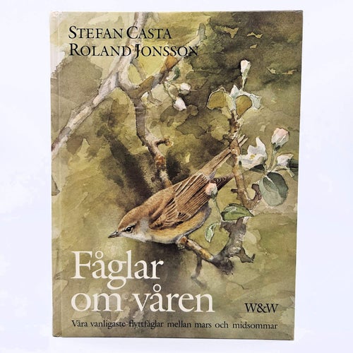 Fåglar om våren - Stefan Casta & Roland Jonsson