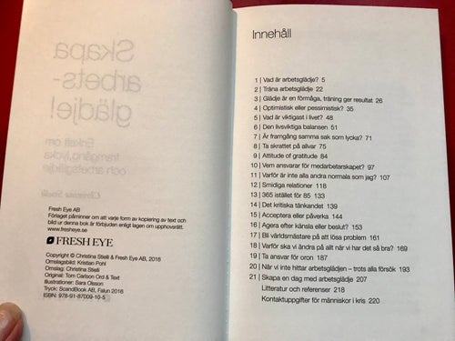 SKAPA ARBETSGLÄDJE enkelt om framgång, lycka och arbetsglädje Christina Stielli